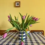Przy Plazy Kołobrzeg
