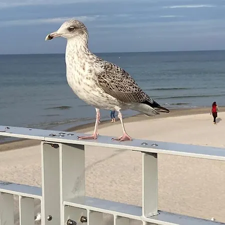 Przy Plazy * Kołobrzeg